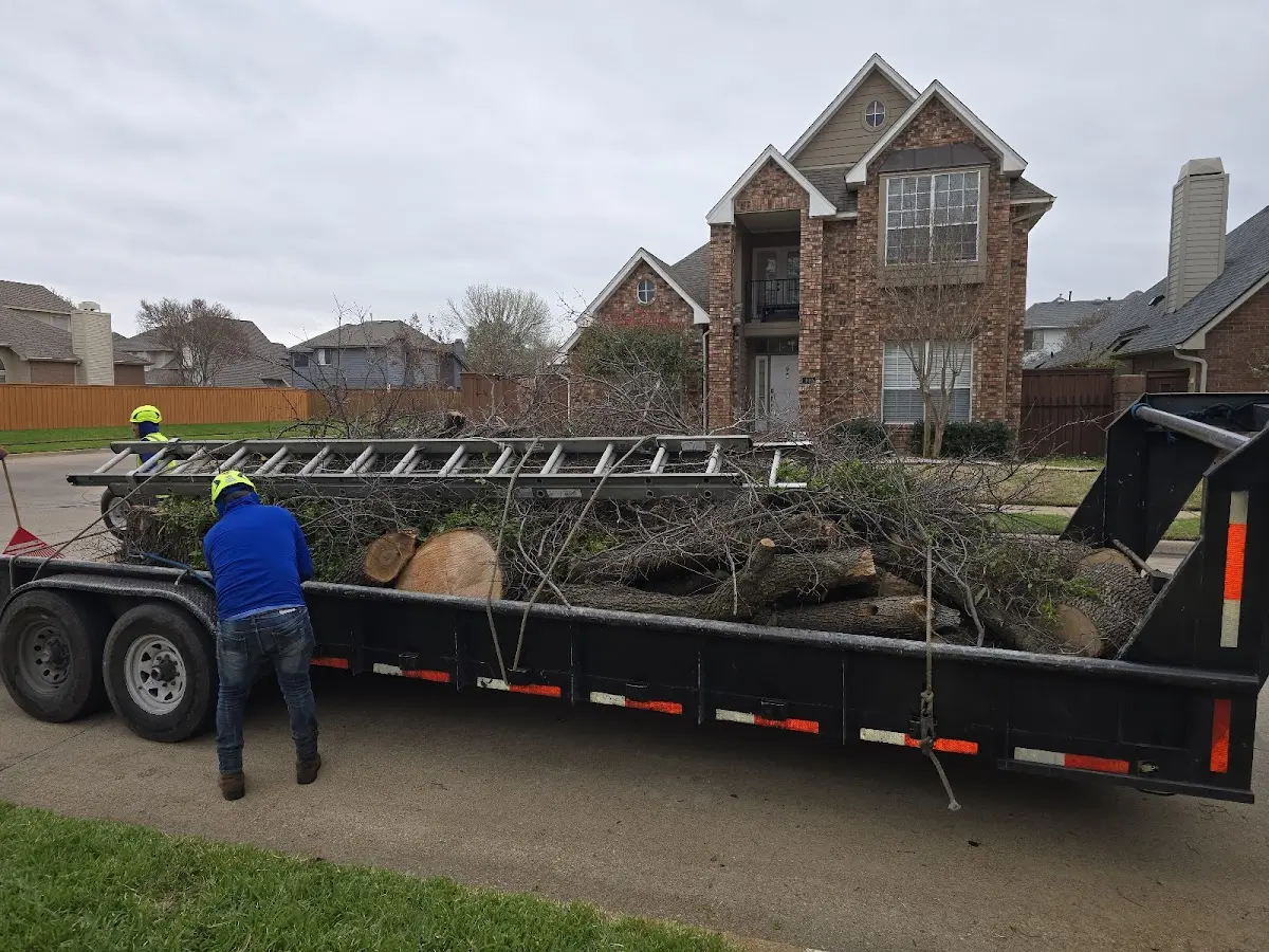 Expert Tree Removal with proper safety equipment in North Hudson